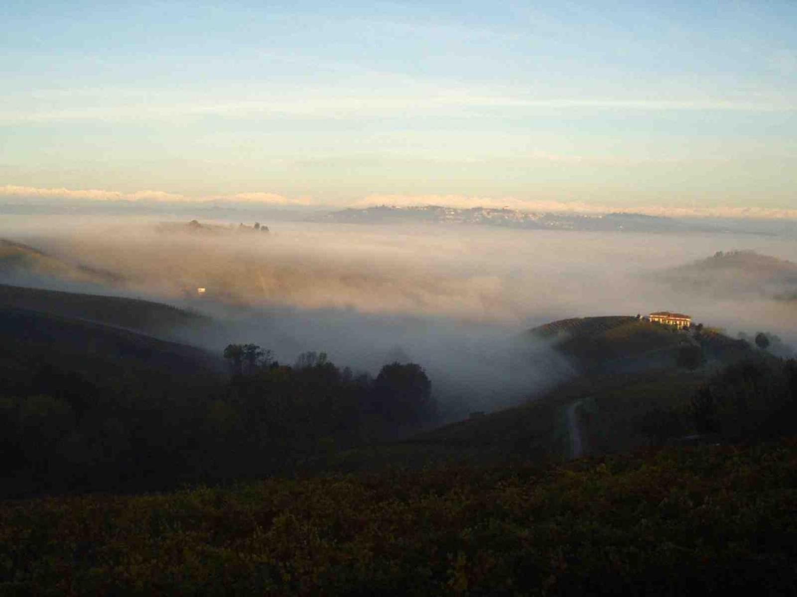 Cascina Delle Rose * Barbaresco
