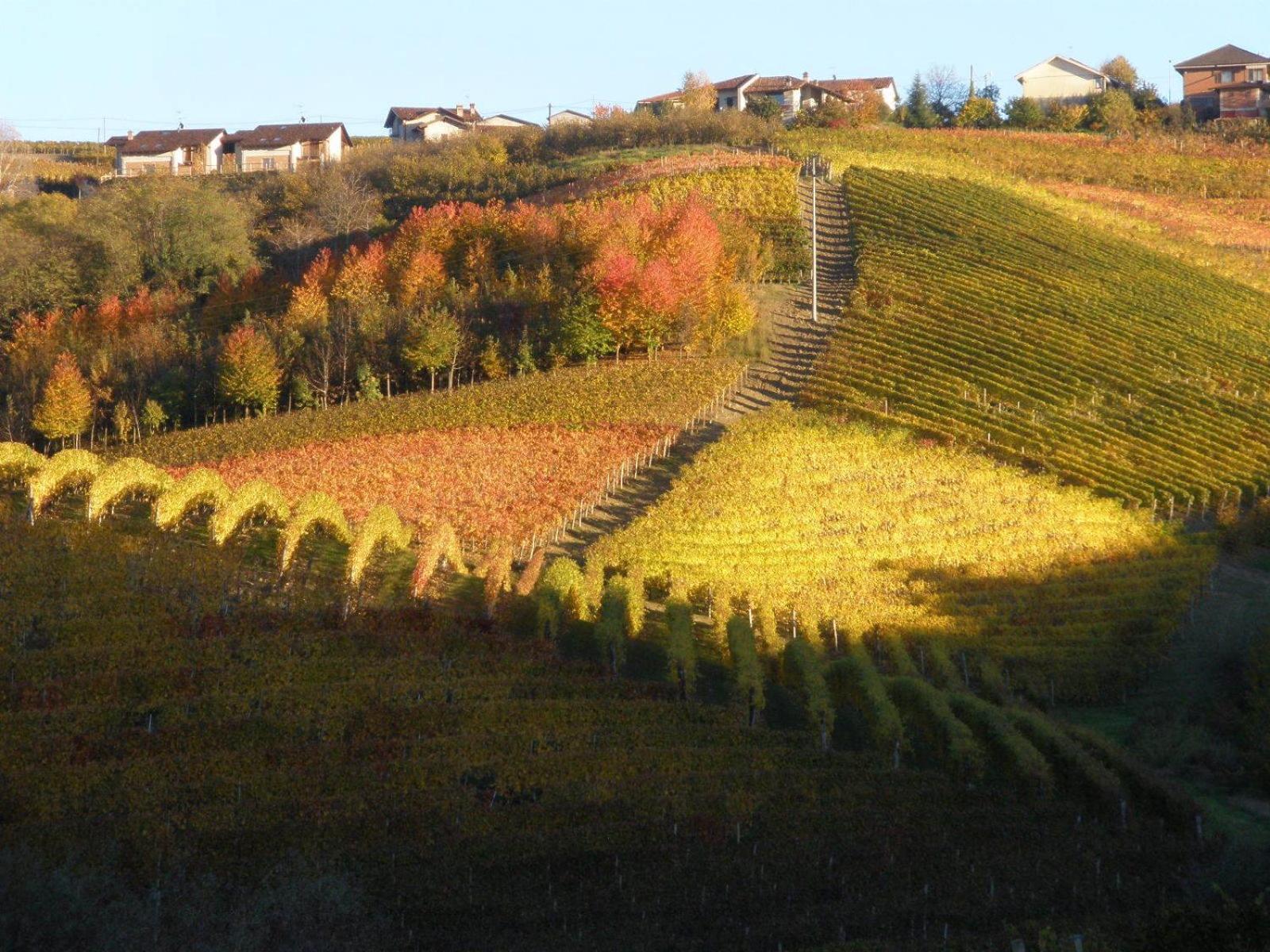 Cascina Delle Rose * Barbaresco