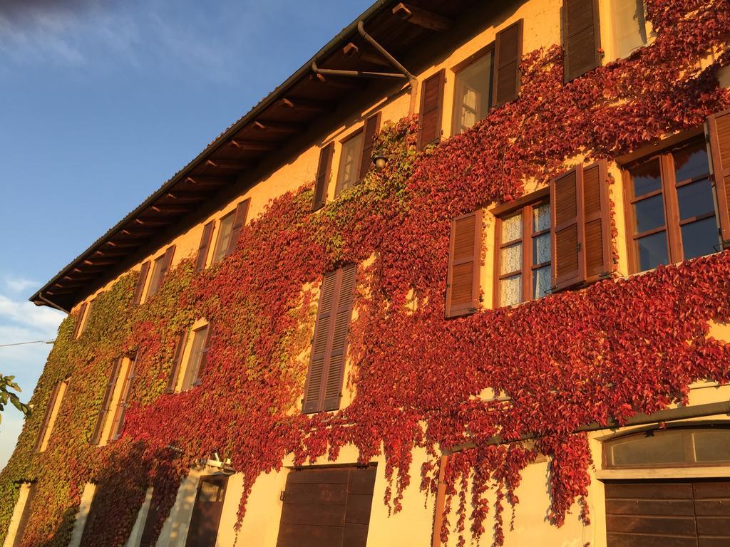 Farm stay Cascina Delle Rose Barbaresco