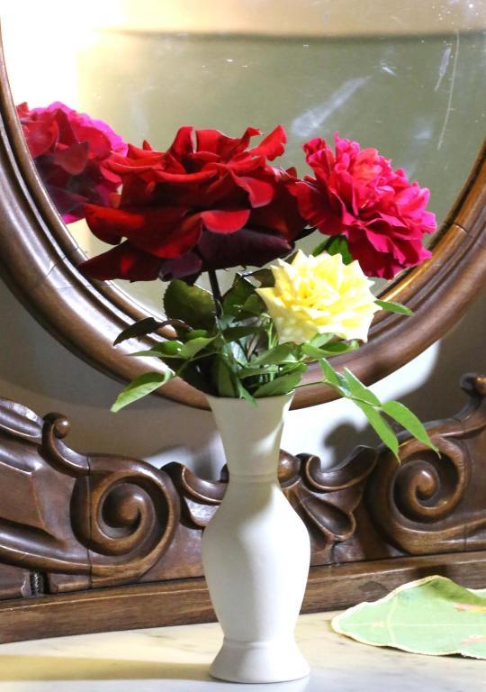 Farm stay Cascina Delle Rose Barbaresco