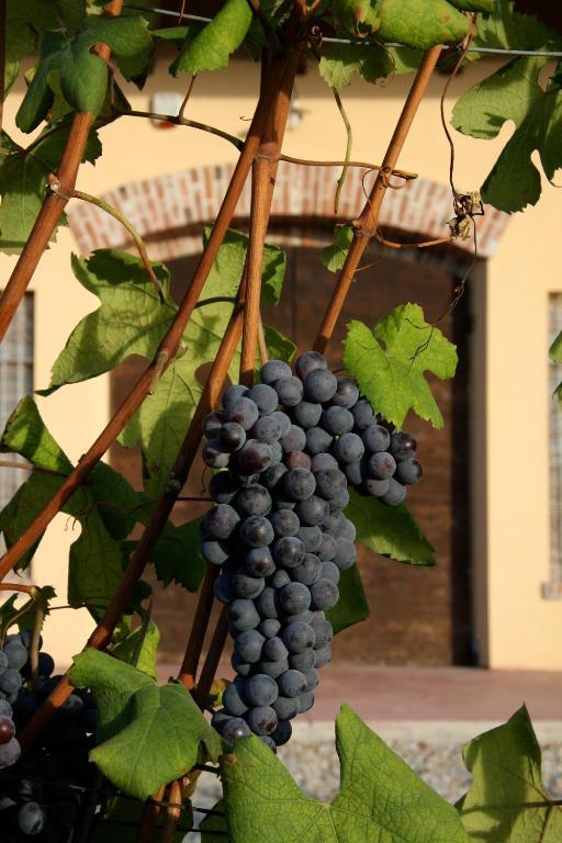 Cascina Delle Rose